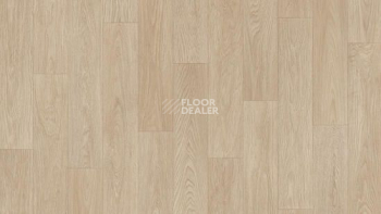 Линолеум Tarkett Acczent Pro OREN 1 фото 1 | FLOORDEALER