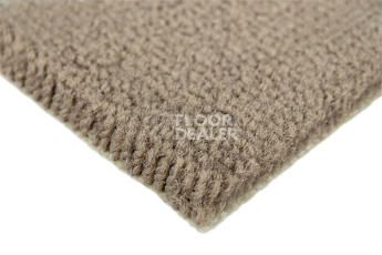 Balsan Les Best S 735 фото 4 | FLOORDEALER