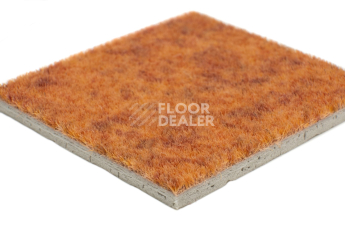 Forbo Flotex Colour Calgary 50*50 t 590005 Calgary Melon фото 4 | FLOORDEALER