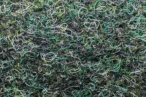 Ковролин Forbo Markant 11118 Forest фото  | FLOORDEALER