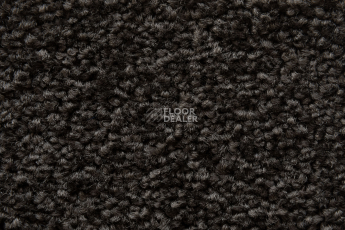 Balsan Serenite 770 фото 3 | FLOORDEALER