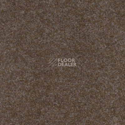 Ковролин Big Real Chevy 7764 фото 1 | FLOORDEALER