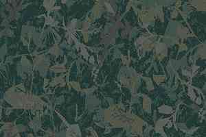 Ковролин Ege Highline Nature rf 5500656 фото  | FLOORDEALER