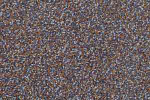 Ковровая плитка Desso Flavia Desso Flavia 3842 фото  | FLOORDEALER