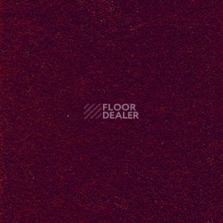 Ковролин AW Satin 10 фото 1 | FLOORDEALER
