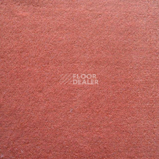 Ковролин Дюна Тафт Плеяда 550 922 фото 1 | FLOORDEALER