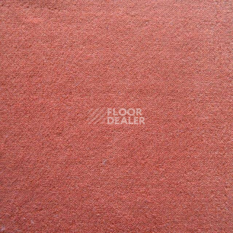 Ковролин Дюна Тафт Плеяда 550 922 фото 1 | FLOORDEALER