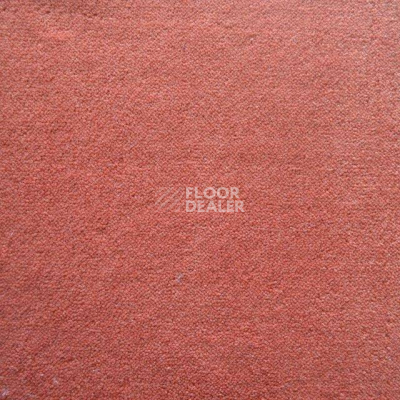 Ковролин Дюна Тафт Плеяда 550 922 фото 1 | FLOORDEALER