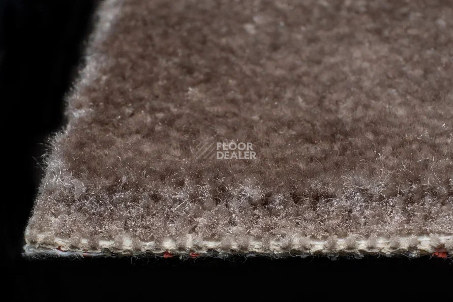 AW Masquerade Messalina / Мессалина 44 фото 5 | FLOORDEALER