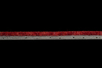 Flotex Colour embossed tiles to 546926 Metro Red Organic Embossed фото 3 | FLOORDEALER