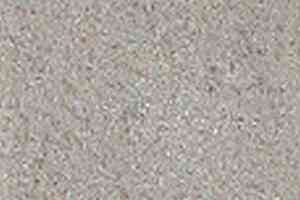 Ковролин Girloon Standard 825 фото  | FLOORDEALER