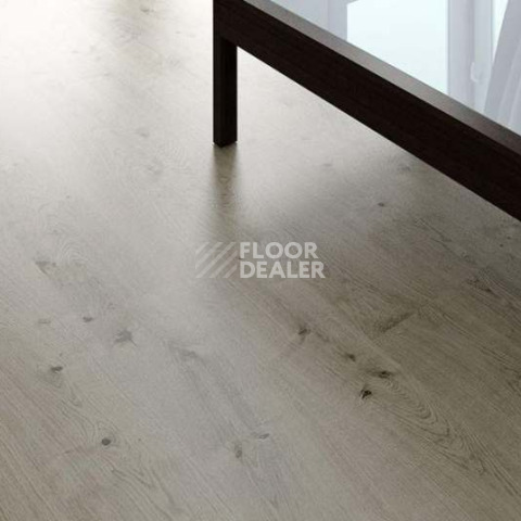 Wood OAK GREY фото 2 | FLOORDEALER