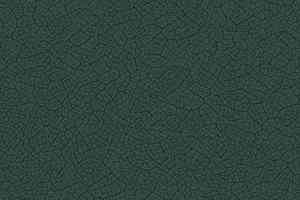 Ковролин Ege Highline Nature rf 5500691 фото  | FLOORDEALER