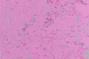 Линолеум Forbo Marmoleum Solid Concrete 3740-374035 purple glow фото  | FLOORDEALER