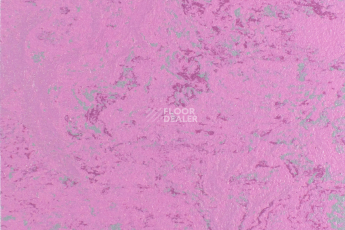 Линолеум Forbo Marmoleum Solid Concrete 3740-374035 purple glow фото 1 | FLOORDEALER