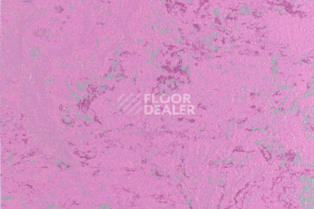 Линолеум Forbo Marmoleum Solid Concrete 3740-374035 purple glow фото 1 | FLOORDEALER
