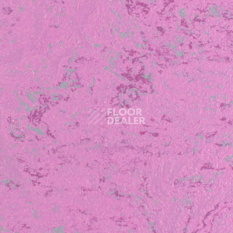 Линолеум Forbo Marmoleum Solid Concrete 3740-374035 purple glow фото 1 | FLOORDEALER