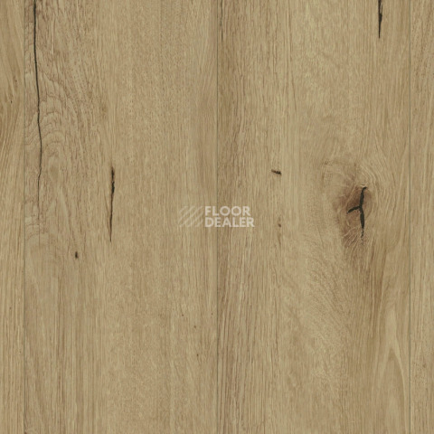 Ламинат Kronotex Robusto 12мм d81672 Harvest Oak Beige фото 1 | FLOORDEALER