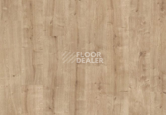 Parador Basic Plus 200 V 1593997 Дуб Шлифованный фото 2 | FLOORDEALER
