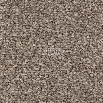 Ковролин Balsan First Class 760 фото 1 | FLOORDEALER