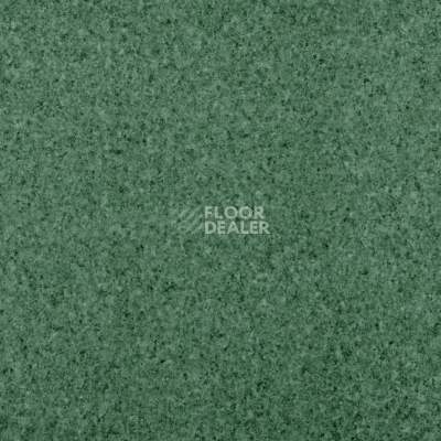 Линолеум Lg Trendy TD12504 фото 1 | FLOORDEALER