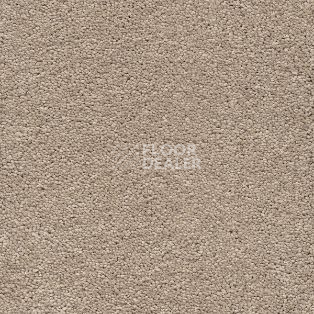 Ковролин AW VivendiI Aaura 34 фото 1 | FLOORDEALER