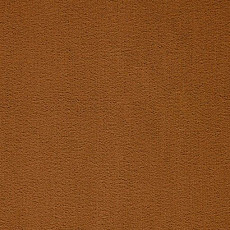 Ковролин Balta ITC President 56 фото 1 | FLOORDEALER