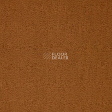 Ковролин Balta ITC President 56 фото 1 | FLOORDEALER