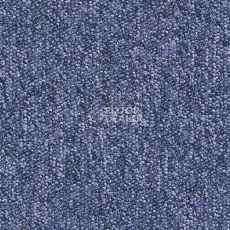 Ковролин Desso Tempra-Brlm 8813 фото 1 | FLOORDEALER