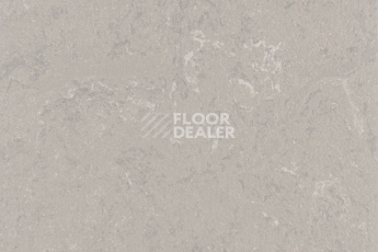 Forbo Marmoleum Solid Concrete 3702-370235 liquid clay фото 1 | FLOORDEALER