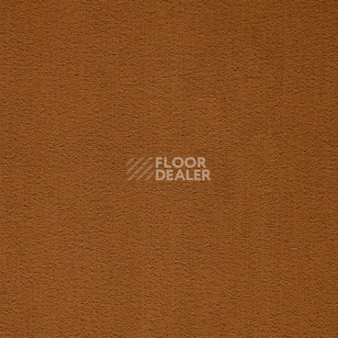 Ковролин Balta ITC President 56 фото 1 | FLOORDEALER