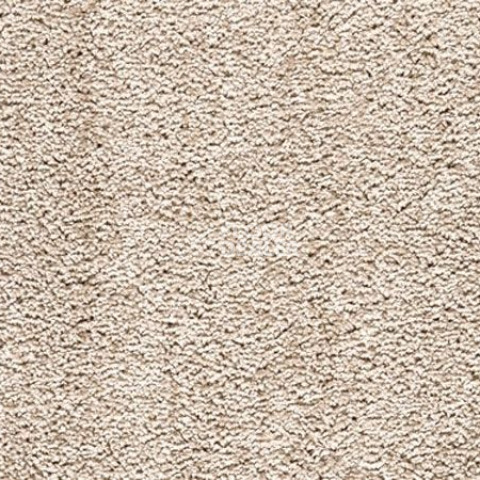 Ковролин Balta Serenity 650 фото 1 | FLOORDEALER