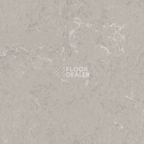 Forbo Marmoleum Solid Concrete 3702-370235 liquid clay фото 1 | FLOORDEALER