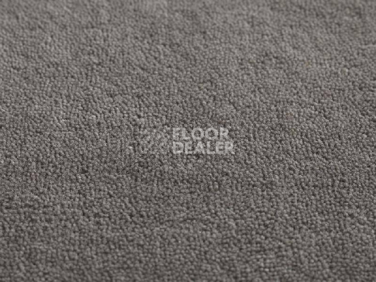 Ковролин Jacaranda Carpets Heavy Velvet Heron фото 1 | FLOORDEALER