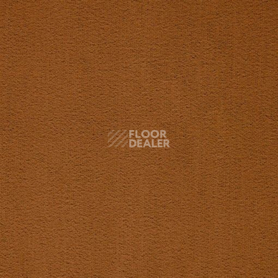 Ковролин Balta ITC President 56 фото 1 | FLOORDEALER