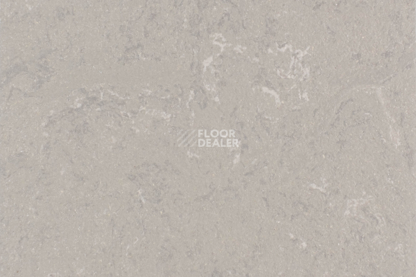 Линолеум Forbo Marmoleum Solid Concrete 3702-370235 liquid clay фото 1 | FLOORDEALER