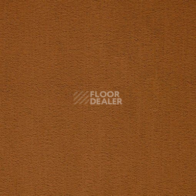 Ковролин Balta ITC President 56 фото 1 | FLOORDEALER