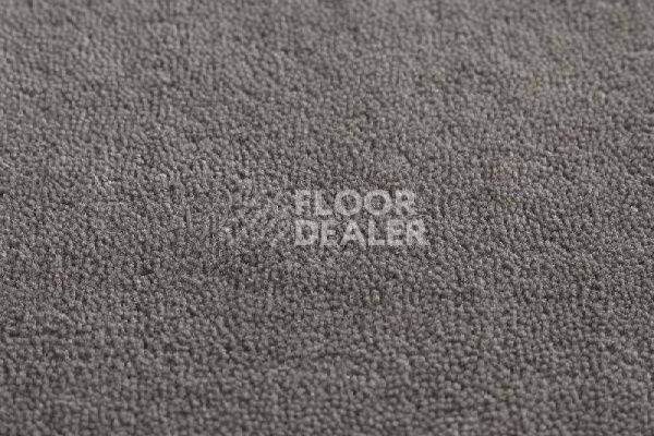 Ковролин Jacaranda Carpets Heavy Velvet Heron фото 1 | FLOORDEALER