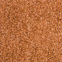 Ковролин AW Vivendi Vigour 80 фото 1 | FLOORDEALER