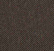 Ковролин Carpet Concept Yve 2 6403 фото 1 | FLOORDEALER