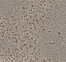 Ковролин Balsan Louvre 710 фото 1 | FLOORDEALER