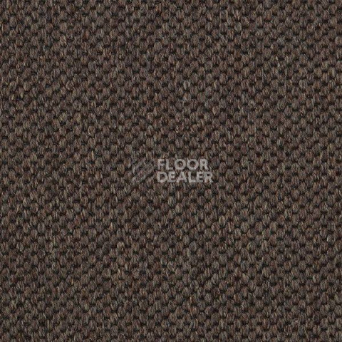 Ковролин Carpet Concept Yve 2 6403 фото 1 | FLOORDEALER