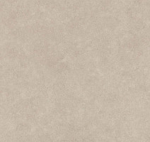 Линолеум Forbo SureStep Stone 17312 sand speckled фото 1 | FLOORDEALER