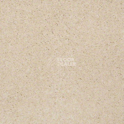 Ковролин Shaw Design Texture Platinum 112 фото 1 | FLOORDEALER
