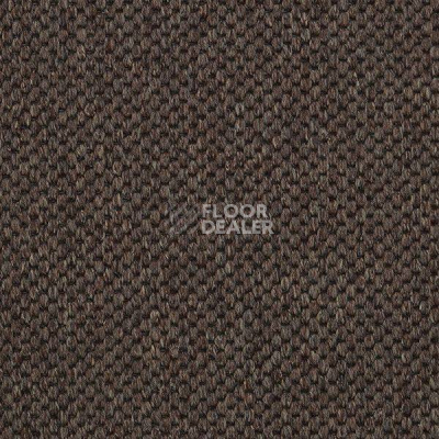 Ковролин Carpet Concept Yve 2 6403 фото 1 | FLOORDEALER
