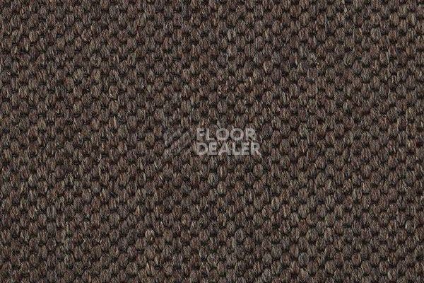 Ковролин Carpet Concept Yve 2 6403 фото 1 | FLOORDEALER
