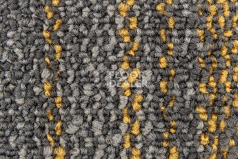 Neuflor Contours 2008-11 + Gold фото 2 | FLOORDEALER