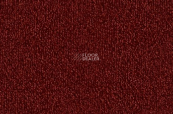 Ковролин Vorwerk Safira 1l71 фото 1 | FLOORDEALER