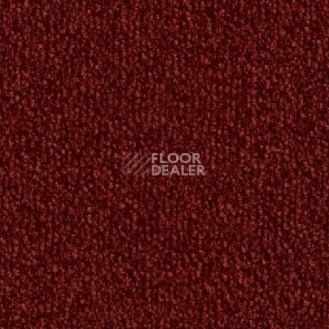 Ковролин Vorwerk Safira 1l71 фото 1 | FLOORDEALER