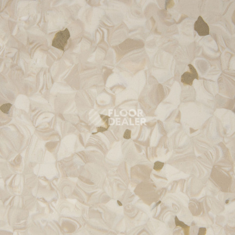 Tarkett Primo Plus 301 фото 2 | FLOORDEALER